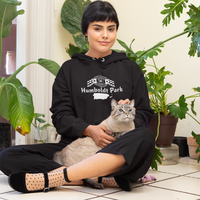 Load image into Gallery viewer, humboldt park chicago paseo boricua puerto rico puerto rican hoodie puerto rican flag humboldt park lagoon chicago neighborhood chicago hoodies