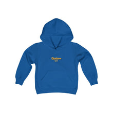 Load image into Gallery viewer, chicago chatham neighborhood kids hoodie south side community simeon high school chicago hoodies chicago culture chicago streetwear kids clothing gold lettering graphic hoodie royal blue