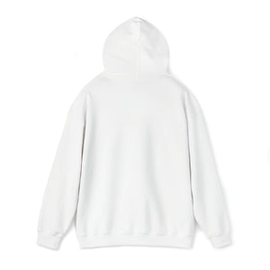 chicago hyde park hoodie university museum parks lake michigan chicago hoodies unisex chicago neighborhood