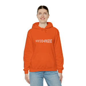 woman chicago hyde park hoodie university museum parks lake michigan chicago hoodies unisex chicago neighborhood