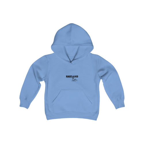 roseland chicago neighborhood far south side kids hoodie chicago hoodies chicago culture streetwear chicago kids fashion Dreadhead Cowboy blue