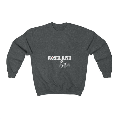 roseland chicago neighborhood far south side sweatshirt chicago hoodies chicago culture streetwear chicago fashion Dreadhead Cowboy