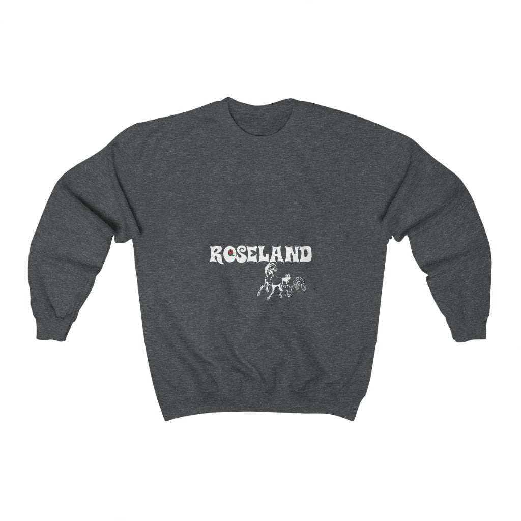 roseland chicago neighborhood far south side sweatshirt chicago hoodies chicago culture streetwear chicago fashion Dreadhead Cowboy