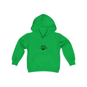 green humboldt park chicago paseo boricua puerto rico puerto rican hoodie puerto rican flag humboldt park lagoon chicago neighborhood chicago hoodies kids hoodie  chicago kids
