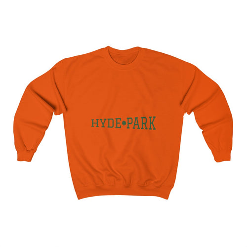 orange chicago hyde park sweatshirt university museum parks lake michigan chicago hoodies unisex chicago neighborhood