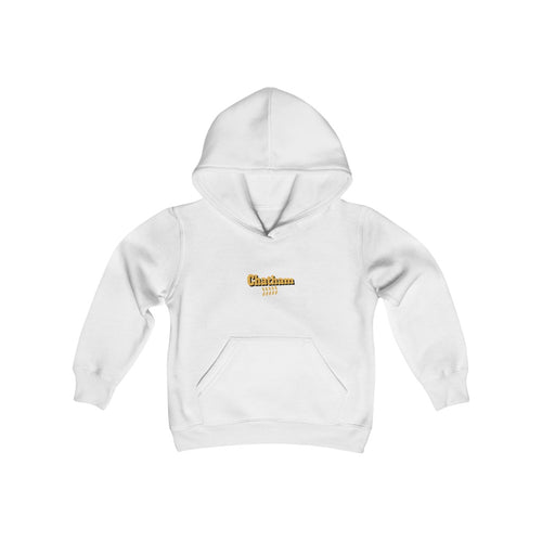 chicago chatham neighborhood kids hoodie south side community simeon high school chicago hoodies chicago culture chicago streetwear kids clothing gold lettering graphic hoodie