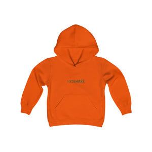 orange chicago hyde park kids hoodie university museum parks lake michigan chicago hoodies unisex chicago neighborhood chicago kids