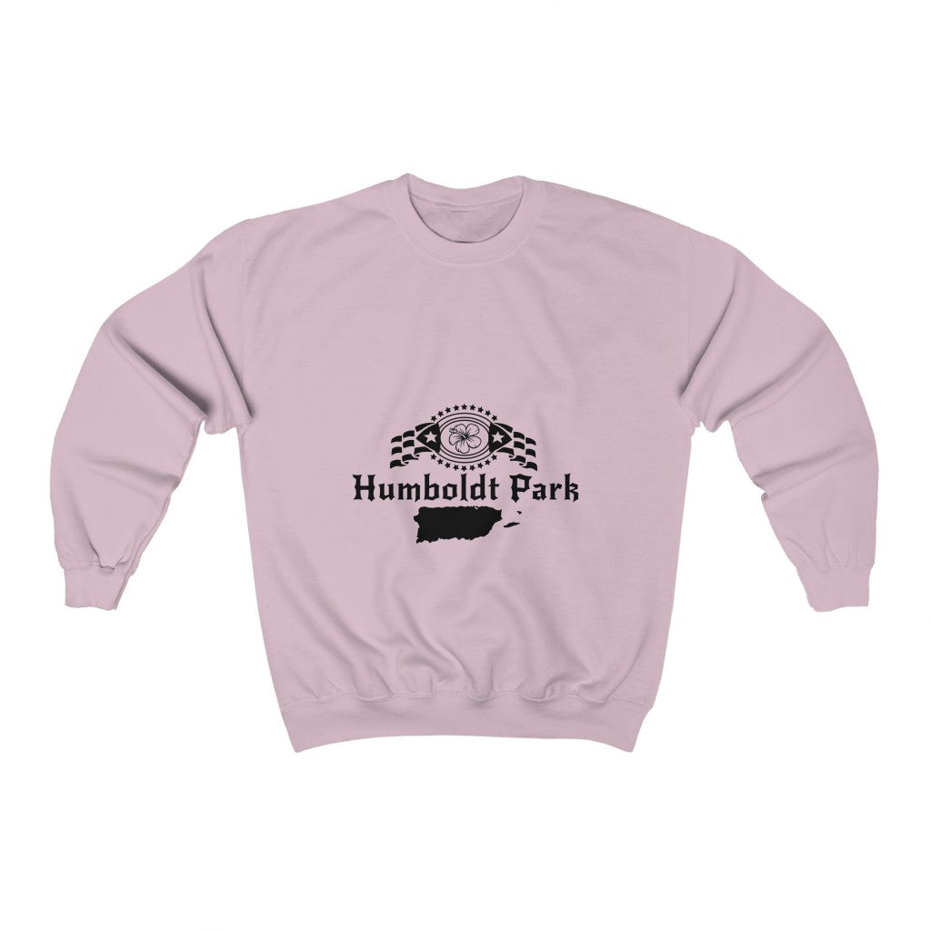 pink sweatshirt humboldt park chicago paseo boricua puerto rico puerto rican hoodie puerto rican flag humboldt park lagoon chicago neighborhood chicago hoodies streetwear